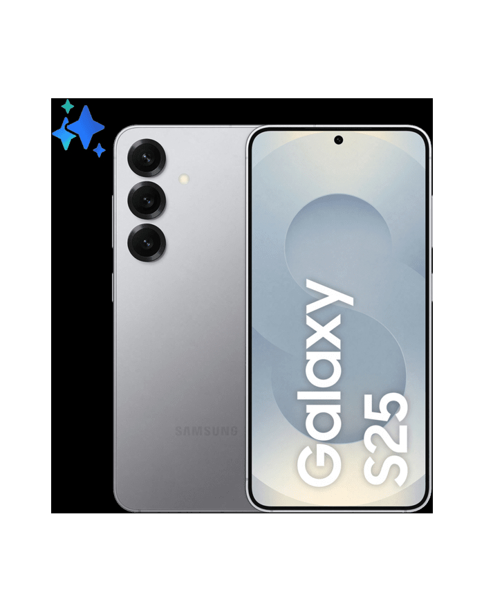Samsung Galaxy S25 12/128GB Silver Shadow główny