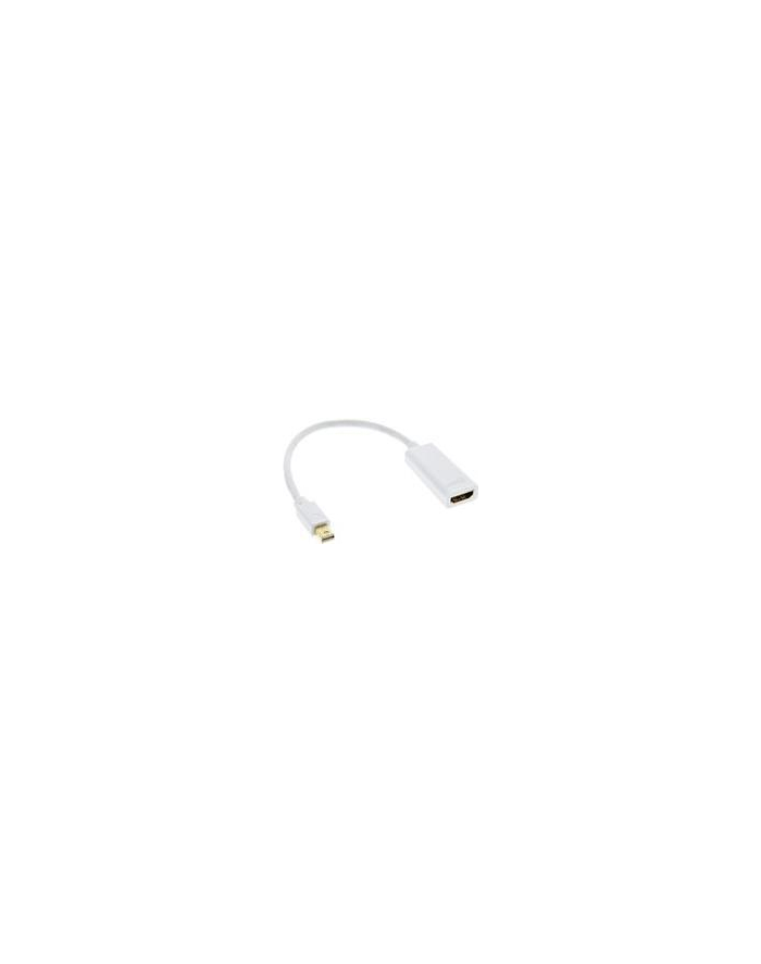 INLINE ADAPTER AV  DISPLAYPORT MINI - HDMI BIAŁY (17193K) główny