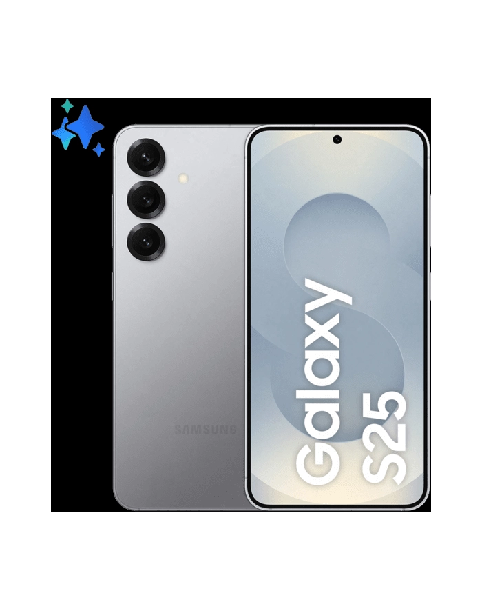 Samsung Galaxy S25 12/128GB Silver Shadow główny