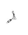 Ładowarka USB 3,2V 700mAh Carrera - nr 1