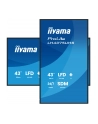 iiyama Monitor 43 cale LH4375UHS-B2AG,24/7,IPS,ANDROID.11,4K, WiFi,          iiSignage2, FailOver, EShare, 24/7, full daisy chain - nr 23