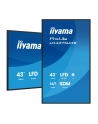 iiyama Monitor 43 cale LH4375UHS-B2AG,24/7,IPS,ANDROID.11,4K, WiFi,          iiSignage2, FailOver, EShare, 24/7, full daisy chain - nr 26