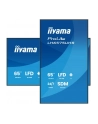 iiyama Monitor 65 '' LH6575UHS-B2AG,24/7,IPS,ANDROID.11,4K,  WiFi,         iiSignage2, FailOver, EShare, 24/7, full daisy chain - nr 33
