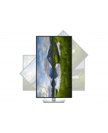 dell Monitor P3225QE 31.5 cala IPS 4K/HDMI/DP/USB/RJ45/3Y