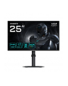 gigabyte Monitor 25 '' AORS G25F2 EK IPS/FHD/200Hz/2HDMI/DP - nr 48