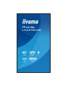 iiyama Monitor 43 cale LH4375UHS-B2AG,24/7,IPS,ANDROID.11,4K, WiFi,          iiSignage2, FailOver, EShare, 24/7, full daisy chain - nr 11