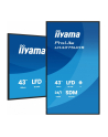 iiyama Monitor 43 cale LH4375UHS-B2AG,24/7,IPS,ANDROID.11,4K, WiFi,          iiSignage2, FailOver, EShare, 24/7, full daisy chain - nr 14