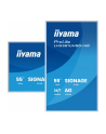 iiyama - nr 26