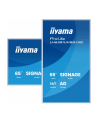 iiyama Monitor 65 '' LH6581UHSG-1AG 24/7,VA,ANDROID 14,4K, 2x10W, WiFi,    UCHWYT ŚCIENNY, 2xHDMI, USB-C, RJ45, IR, 2xUSB, WHITE - nr 16