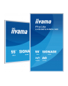 iiyama Monitor 65 '' LH6581UHSG-1AG 24/7,VA,ANDROID 14,4K, 2x10W, WiFi,    UCHWYT ŚCIENNY, 2xHDMI, USB-C, RJ45, IR, 2xUSB, WHITE - nr 26
