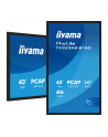 iiyama Monitor 43 cale T4329AS-B1AG VA,4K,HDMIx2,USB-C,RJ45,2x10W,WiFi,     System Android 14, Signal FailOver, Whiteboard, iiSignage (CMS), iiControl (DMS),   iiS - nr 11