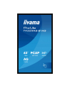 iiyama Monitor 43 cale T4329AS-B1AG VA,4K,HDMIx2,USB-C,RJ45,2x10W,WiFi,     System Android 14, Signal FailOver, Whiteboard, iiSignage (CMS), iiControl (DMS),   iiS - nr 7