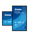 iiyama Monitor 43 cale T4329AS-B1AG VA,4K,HDMIx2,USB-C,RJ45,2x10W,WiFi,     System Android 14, Signal FailOver, Whiteboard, iiSignage (CMS), iiControl (DMS),   iiS - nr 9