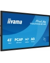 iiyama Monitor 43 cale T4329AS-B1AG VA,4K,HDMIx2,USB-C,RJ45,2x10W,WiFi,     System Android 14, Signal FailOver, Whiteboard, iiSignage (CMS), iiControl (DMS),   iiS - nr 12