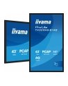 iiyama Monitor 43 cale T4329AS-B1AG VA,4K,HDMIx2,USB-C,RJ45,2x10W,WiFi,     System Android 14, Signal FailOver, Whiteboard, iiSignage (CMS), iiControl (DMS),   iiS - nr 13