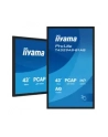 iiyama Monitor 43 cale T4329AS-B1AG VA,4K,HDMIx2,USB-C,RJ45,2x10W,WiFi,     System Android 14, Signal FailOver, Whiteboard, iiSignage (CMS), iiControl (DMS),   iiS - nr 38