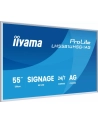 iiyama - nr 12