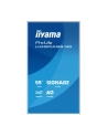 iiyama - nr 31