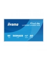 iiyama - nr 42