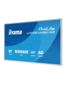 iiyama - nr 46