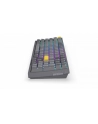 endorfy Klawiatura Celeris 1800 - nr 9