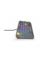 endorfy Klawiatura Celeris 1800 - nr 34