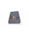 endorfy Klawiatura Celeris 1800 - nr 9