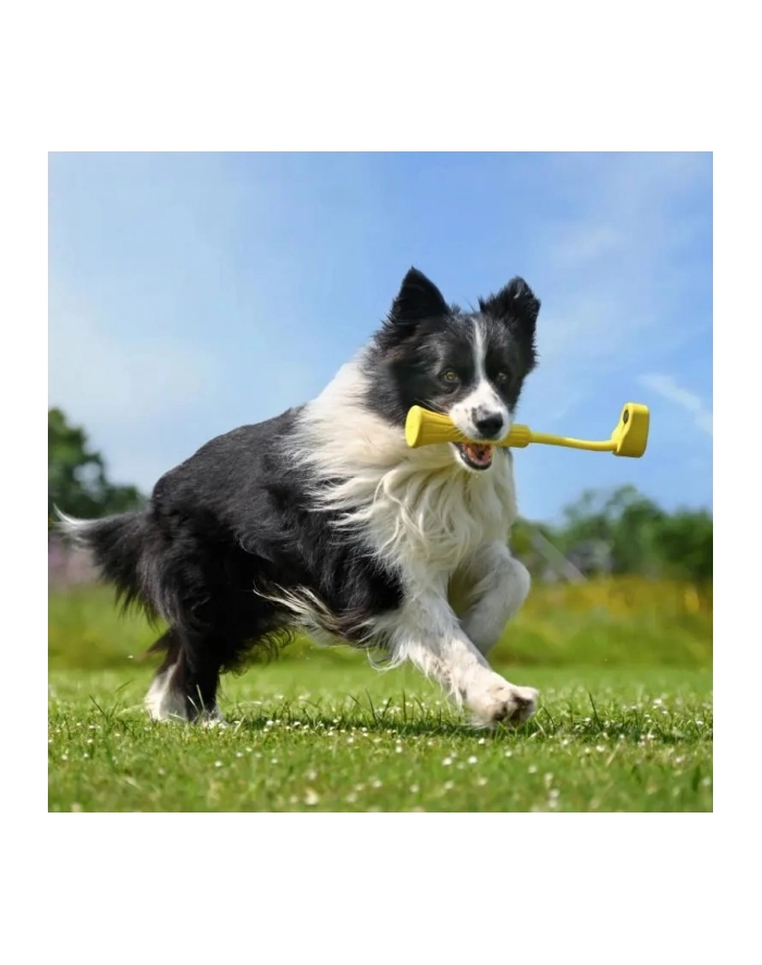 Insta360 GO 3 Fetch Stick główny