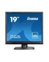 Iiyama 19'' ProLite E1980S-B1 - nr 1
