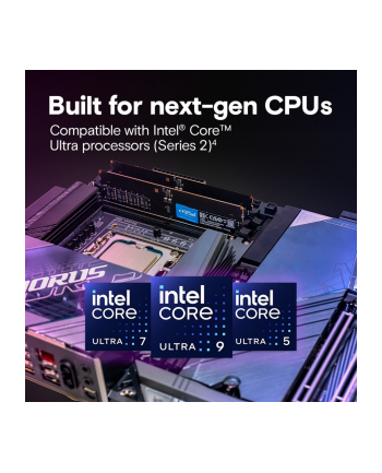 crucial Pamięć DDR5 64GB/6400 CL52 CUDIMM
