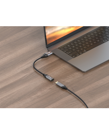 Equip Adapter AV Displayport->HDMI 1.4 St/Bu 8K/60Hz Szary (133446) nr 1