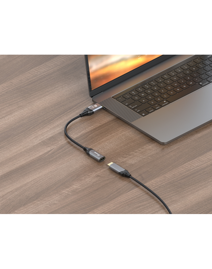 Equip Adapter AV Displayport->HDMI 1.4 St/Bu 8K/60Hz Szary (133446) główny