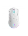 Onikuma CW917 (CW917WHITE) - nr 1