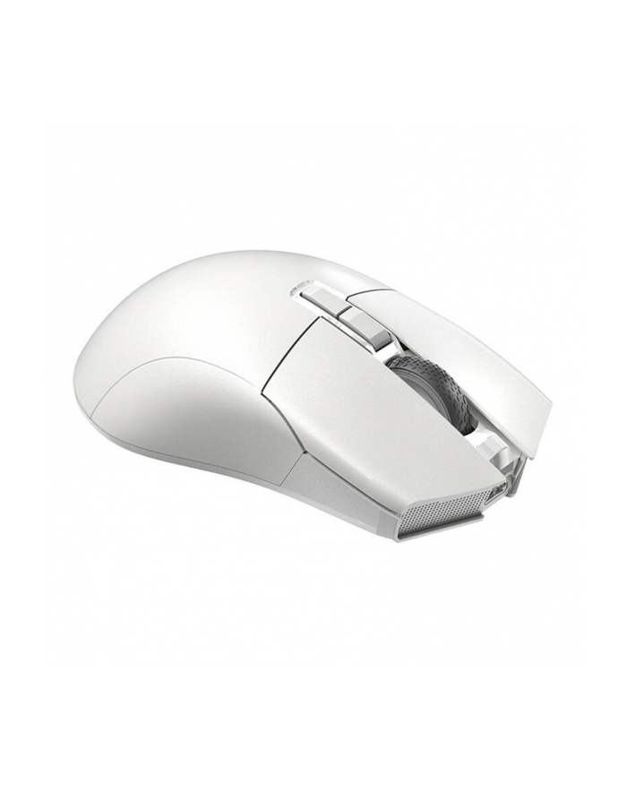 Darmoshark N3 Biały (N3WHITE) główny