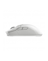 Darmoshark N3 Biały (N3WHITE) - nr 4