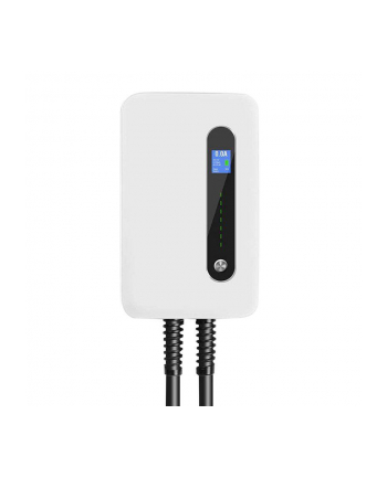 Besen Ładowarka Do Samochodu Elektrycznego F30 nr 2