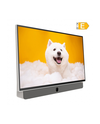 Telewizor LED Metz 24MPE7000Z 24 cale Full HD