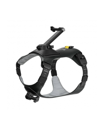 Insta360 Pet Harness Mount - Szelki dla zwierząt do montażu kamery - rozmiar M