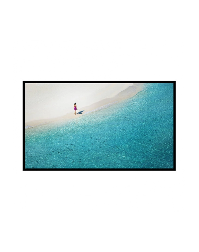 Blitzwolf Ekran Projekcyjny Bw-Vs4 100'' (67547) główny