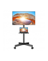 Perlegear Uchwyt Do Tv 23-60'' Pgtvmc06 (69341) - nr 1