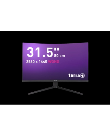 Terra 31,5'' 3285W HA (3030245)