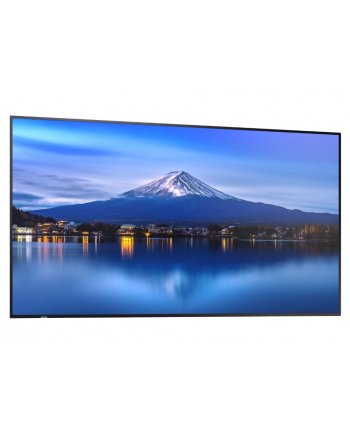 sharp Monitor wielkoformatowy MultiSync P556 55 '' UHD 700cd/m2 24/7