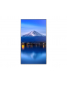 sharp Monitor wielkoformatowy MultiSync P656 65 '' UHD 700cd/m2 24/7 - nr 15