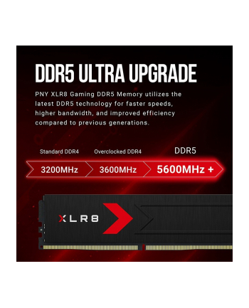 pny Pamięć DDR5 64GB (2x32) 6000 C30
