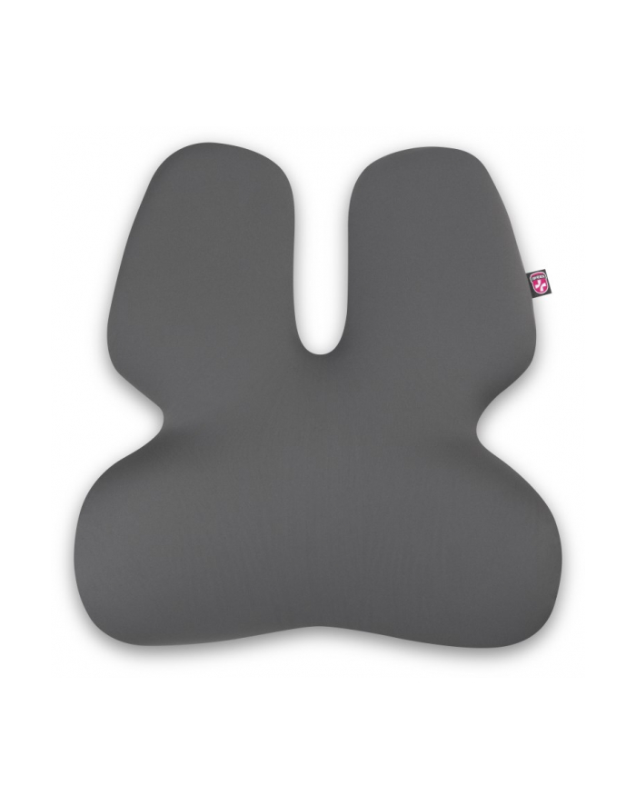 Connect It For Health Gamapro Anatomiczne Podparcie Lędźwiowe Do Fotela, Szare główny