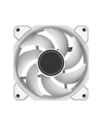 Darkflash DR08 120mm Biały (DR08WHITE)