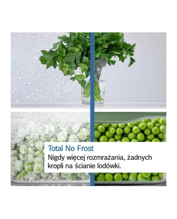 bosch Chłodziarko-zamrażarka KGN33NSDB total no frost nr 1