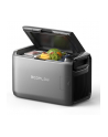 EcoFlow Glacier Classic 45L - nr 20