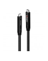 Lindy Kabel USB 43398 10 m - nr 1