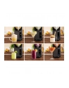 CECOTEC Twist'amp;Ice 2600 Slush-Eis-Maschine - nr 12